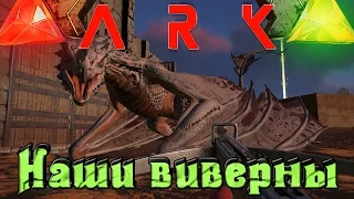 ARK: Scorched Earth - Наши виверны