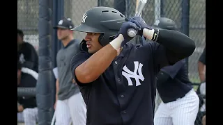 Jasson Domínguez de los Yankees de Nueva York está listo para debutar en 2021.