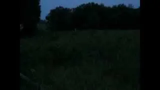 Gettysburg: Wheatfield Fife and Drums