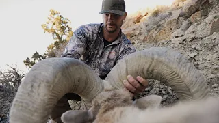 Nevada Bighorn Sheep Hunt