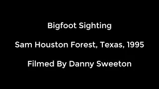 Bigfoot Sighting In Sam Houston Forest, Texas - 1995