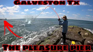 Fishing the Galveston Seawall (BIG FISH LANDED)