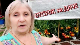 У меня  отпуск !  Любимая дача  с  огородом!👍🤣