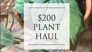 $200 Plant Haul Unboxing