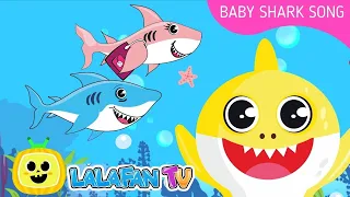 Baby Shark | Kids Songs and Nursery Rhymes | Animal Songs by Lalafan TV