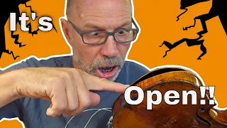 My violin is buzzing? How to find that open join on your violin