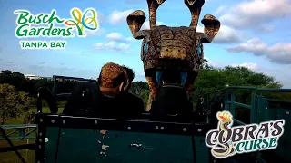 Cobra's Curse POV (middle row) | Busch Gardens Tampa, 2023 Fall | Multi-spin Coaster!