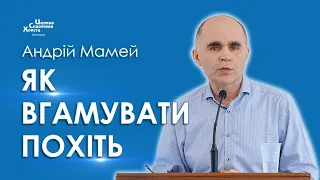 Пожадливість. Що з цим робити - Андрій Мамей