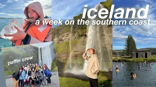 ICELAND VLOG 🇮🇸 reykjavik, the secret lagoon, puffins, glacier hike, the golden circle, cat cafes