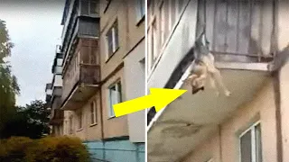 Locals Spot A Dog Stuck On The Edge Of A Balcony, Turns Out She Tried To Escape Her Abusive Owner