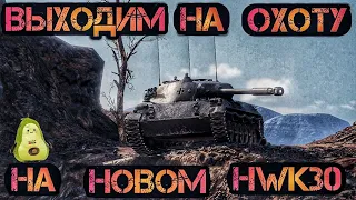 HWK 30 и ПЕРВОЕ ВПЕЧАТЛЕНИЕ 🍁😎 🔴 TANKS BLITZ