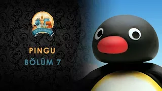 Pingu - Bölüm 7