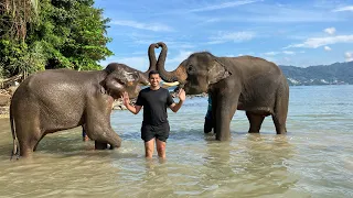 2022 Thailand: Elephant Swims at Lucky Beach Phuket