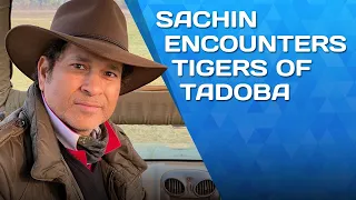 Sachin Tendulkar's experience at Tadoba-Andhari Tiger Reserve