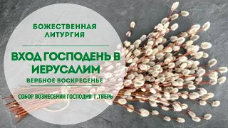 🔴Прямая трансляция/Божественная Литургия/Вход Господень в Иерусалим (Вербное воскресенье).