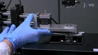 High-resolution magnetic tweezers