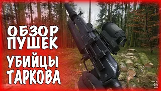 Project L33T. Обзор пушек "Убийцы Таркова".