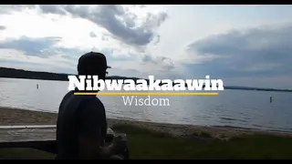 Nibwaakaawin (Wisdom)