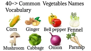 Vegetables Names In English || Vocabulary With Pictures ||Vegetables  Vocabulary in English.
