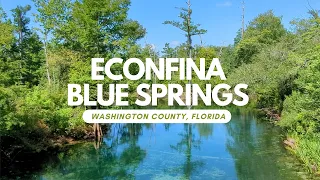 Econfina Blue Springs (Northwest Florida)  #florida #outdoors #travel