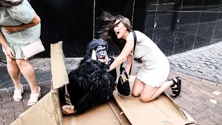 Gorilla GIRL fell DOWN funniest moments! Gorilla prank