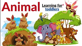 Kinder Educational videos | kids tube kt