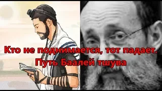 Кто не поднимается, тот падает. Путь Баалей тшува. Рав Ашер Кушнир