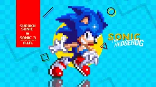 Another Great Sonic Sprite Work in Sonic 3!