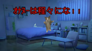 思春期のトラウマ【猫ミーム】