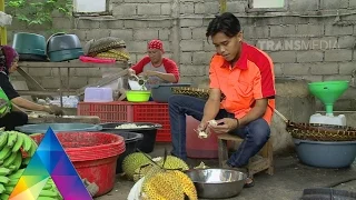 JEJAK SI GUNDUL 21 JANUARI 2016 - JELAJAH KE LAMPUNG LAGI 3-1