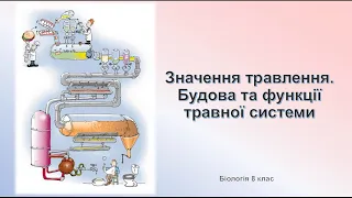 Біологія людини. Значення травлення. Будова та функції травної системи