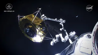 See Canada's new 'Lunar Gateway' robotic arm in this animation