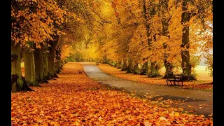 Paul Mauriat Orchestra - Best Melodies Collection - Autumn #100