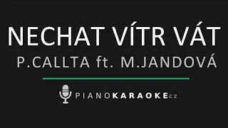 Pavel Callta & Marta Jandová - Nechat vítr vát | Piano Karaoke Instrumental