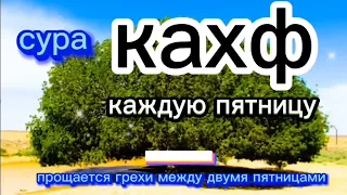 сура КАХФ, слушайте каждую пятницу, это сунна прощается грехи между двумя пятницами ИНШААЛЛОХ 🤲