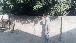 New Excellent samll amazing man with his donkey.2021/Part1|| meet donkey