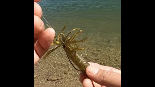 Fishing With Air Season 2 Episode 20 - Ika Fishing on A Hot Dam Sunday.