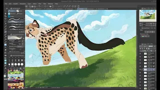 Race Speedpaint