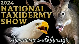 National Taxidermy Competition 2024 - Showroom Walkthrough