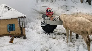 Snow Village  life and Culinary Traditions in Talesh Mountains - IRAN