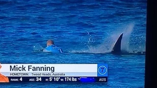 Mick Fanning  shark  attack