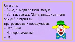 🤡Два Таракана едят...Сборник Анекдотов, Для Супер Настроения!