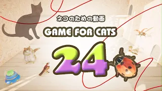 【猫用動画MIX24】テントウムシ・ネズミなど ４時間 GAME FOR CATS 24