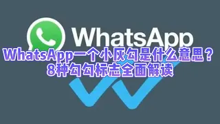 WhatsApp一个小灰勾是什么意思？8种勾勾标志全面解读#whatsapp打一个勾代表什么#whatsapp的勾代表什么#whatsapp对勾含义#whatsapp发送消息只有一个勾