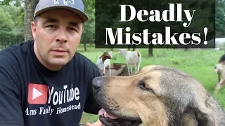 Top 3 DEADLIEST Mistakes New Goat Owners Make