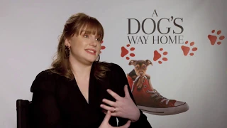 A Dog's Way Home Interview with Bryce Dallas Howard - The voice for Bella the Dog