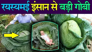 रयस्यमई इंसान से बड़ी गोबी | top 5 intresting random facts in hindi