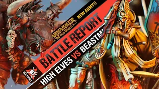 *OLD WORLD* High Elves vs Beastmen Breyherds | Warhammer The Old World Battle Report