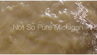 Not So Pure Michigan