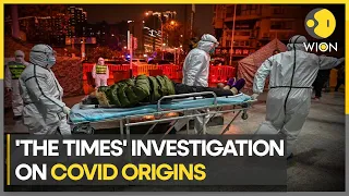 Report: Chinese labs spliced deadly pathogens together | Latest World News | WION
